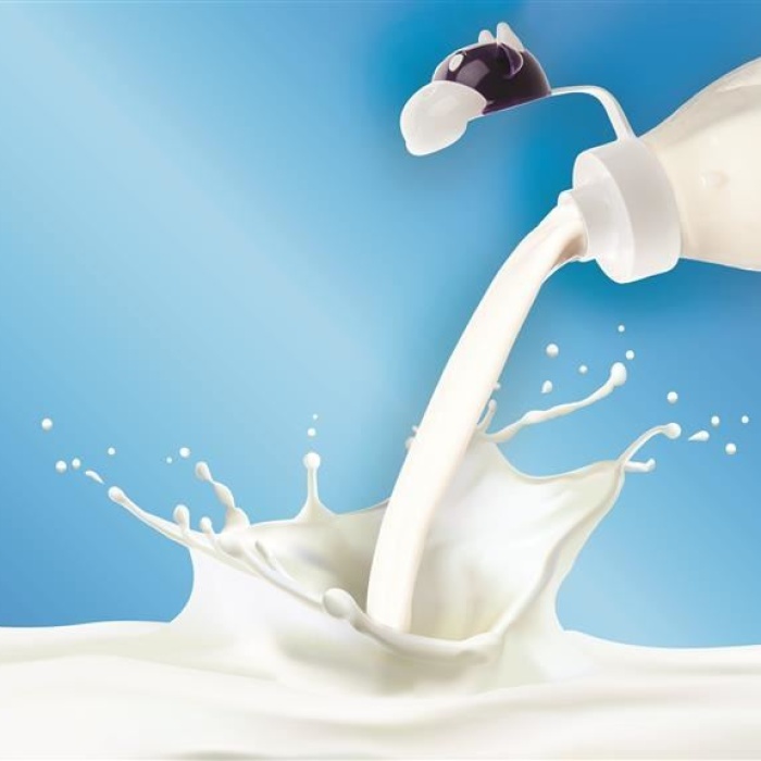 Biyomak® İnek Tasarımlı Sevimli Cam Suluk - Süt Şişesi 1000 ML