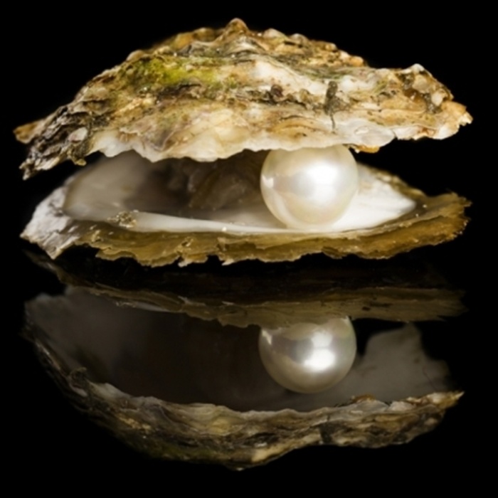 ® Yeni Ürün İstiridye Kabuğunda Gerçek İnci Kolye