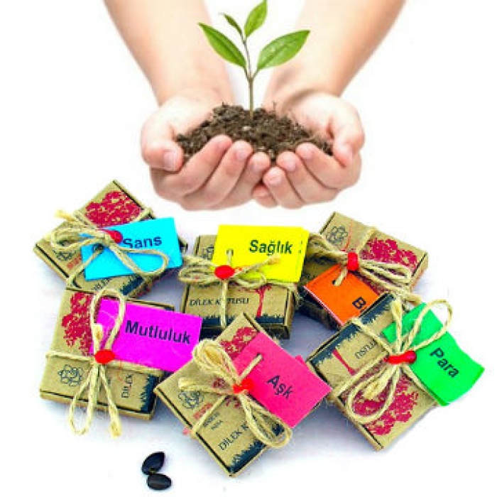 ® Dilek Tohumları - Sağlık