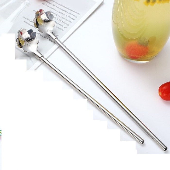 ® Paslanmaz Metal 2 li Kaşıklı Pipet Fırça Seti