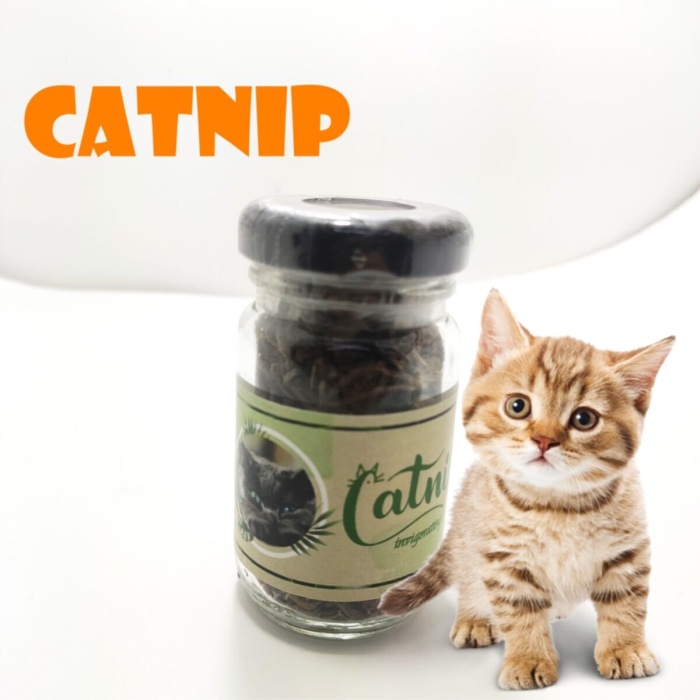 ® Catnip Doğal Kedi Otu - Kedi Nanesi