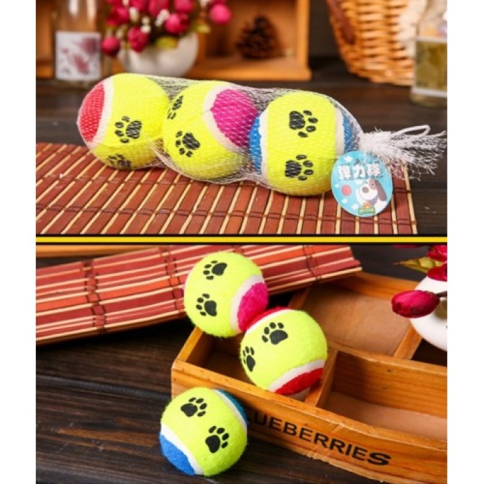 ® At Getir Köpek Eğitim Topu