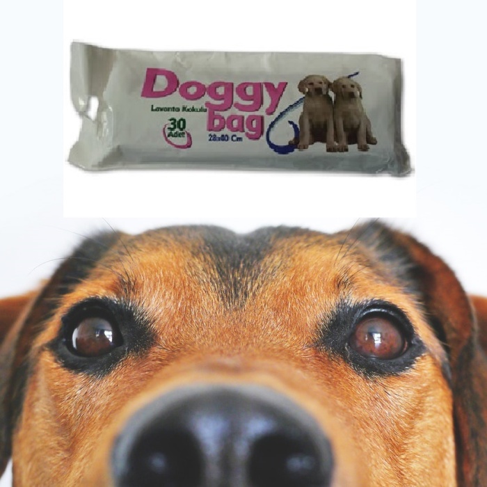 ® Lavanta Kokulu Kaka Poşeti