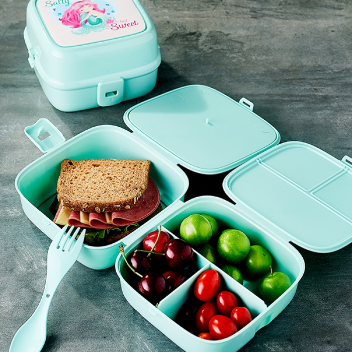 Biyomak® 4 Bölmeli Çatallı Beslenme Kabı - Diyet Kabı  dir