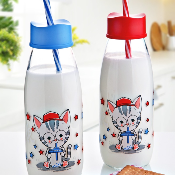 ® Pipetli Su Ve Süt Şişesi Cam 250 ML
