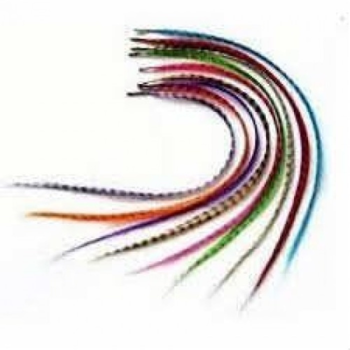 ® Hair Feather Saç Tüyü -