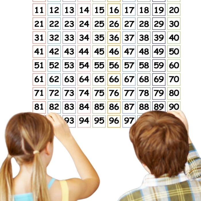 Biyomak® Matematik Öğreten Yüzlük Tablo Duvarda İz Bırakmaz Akıllı Kağıt Yapışkansız Statik  60x60 cm