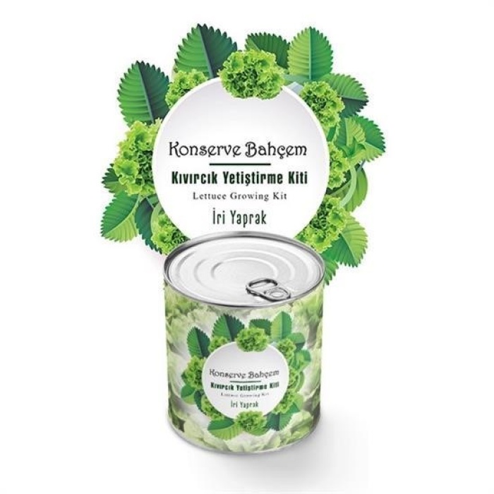 Biyomak®  Konserve Bahçem Evde Konservede İri Yapraklı Kıvırcık Yetiştirme Kiti