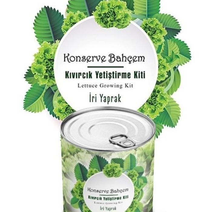 Biyomak®  Konserve Bahçem Evde Konservede İri Yapraklı Kıvırcık Yetiştirme Kiti
