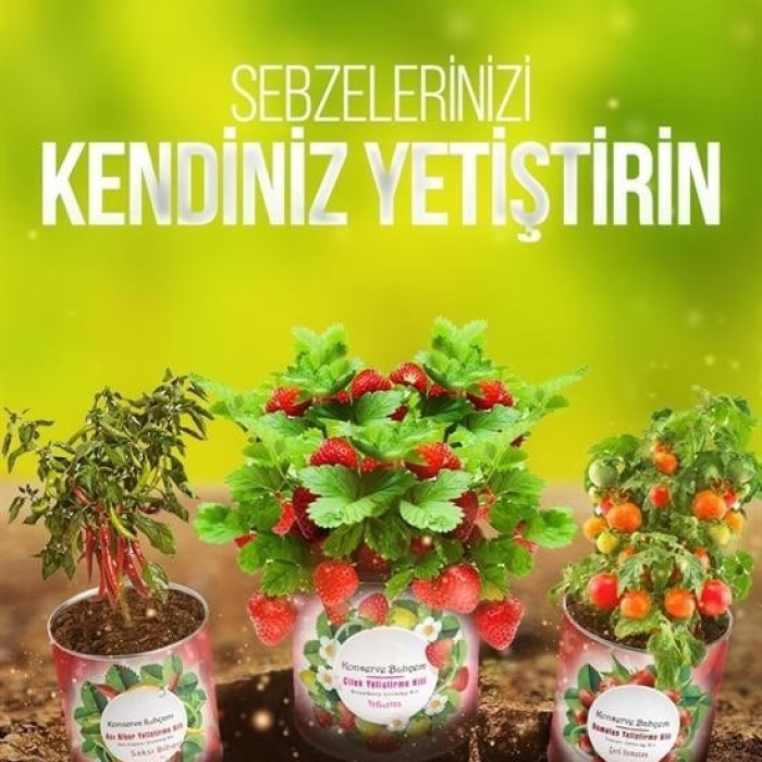 Biyomak®  Konserve Bahçem Evde Konservede Havuç Yetiştirme Büyütme Kiti