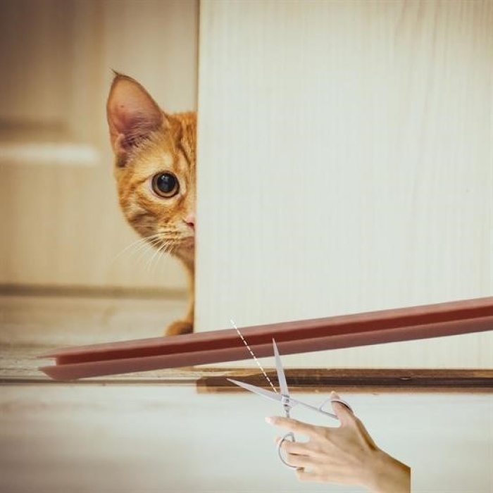 ®   4 Adet Kapı Toz Rüzgar Önleyici Isı Yalıtımı Sağlayan Sızdırmaz Strafor