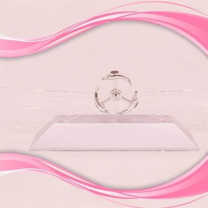 Biyomak®  Dekoratif Masa Üstü Obje Manyetik Kinetik Orbital Dönen Yunuslar