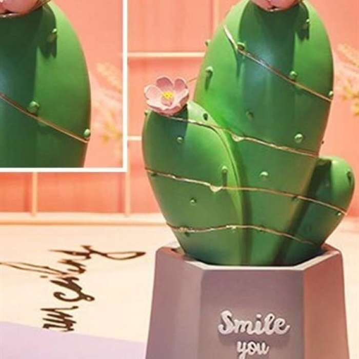 Biyomak®  Led Işıklı Kaktüs Biblo Ev Dekorasyon ve Hediyelik Eşya Led Aydınlatma