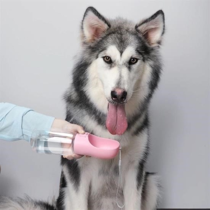 Biyomak® Taşınabilir Evcil Hayvan Suluğu Seyahat Kabı Kilitlenebilen Su Sızdırmaz Kap 350 ml