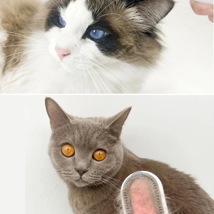 ® Su Hazneli Kedi ve Köpek Tüyü Toplamama Fırçası Su Hazneli Pet Tarağı