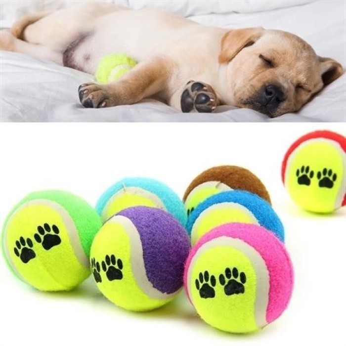 ®  3lü Renkli Desenli Tenis Topu Kedi Köpek Oyuncağı