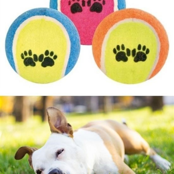 ®  3lü Renkli Desenli Tenis Topu Kedi Köpek Oyuncağı
