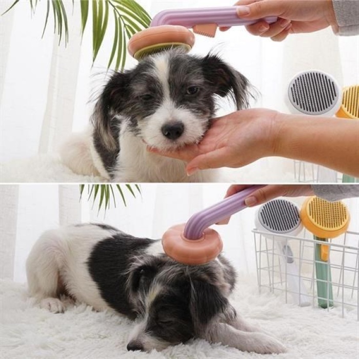 ® Plastik Yeşil Evcil Hayvan Bakım  Pet Fırçası Çok Amaçlı Pet Fırçası Yeşil