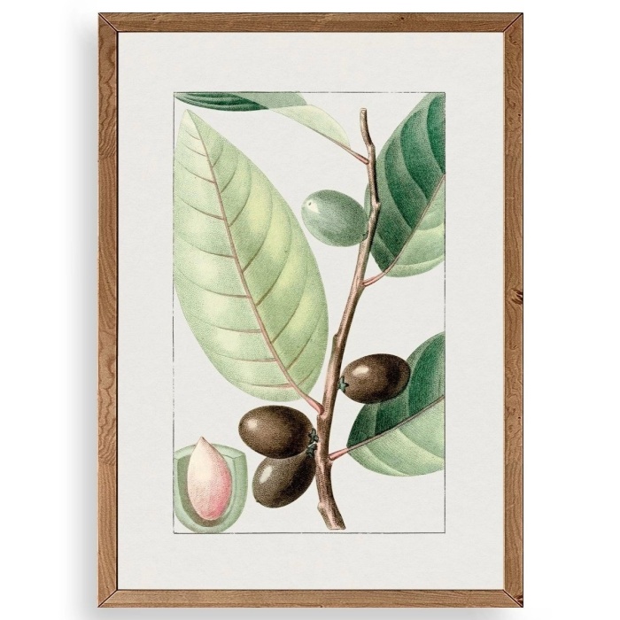 Biyomak® Zeytin Dalı Ahşap Çerçeveli Tablo