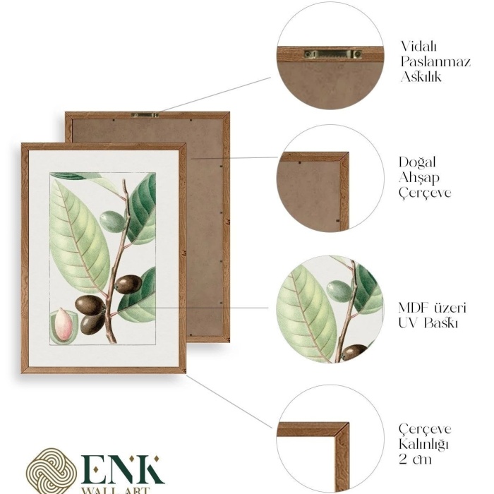 Biyomak® Zeytin Dalı Ahşap Çerçeveli Tablo