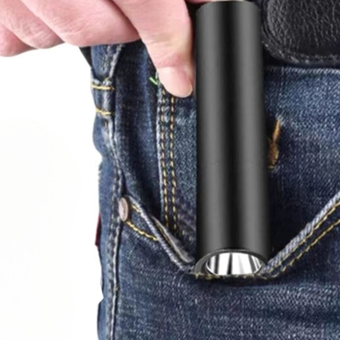 ® Yeni Ürün Mini Cep Boy USB İle Şarj Olan Oje Kurutucu Sahte Para Kontol LED UV Mor Işık El Feneri