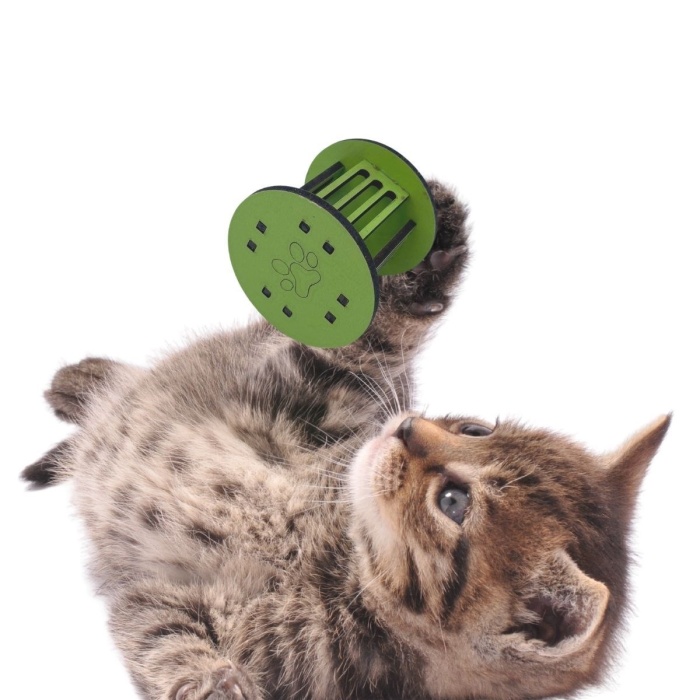 ® Yeni Ürün  Mini Silindir Eğlenceli Renkli Sağlam Küçük Pati İzi Şekilli Kedi Oyuncağı