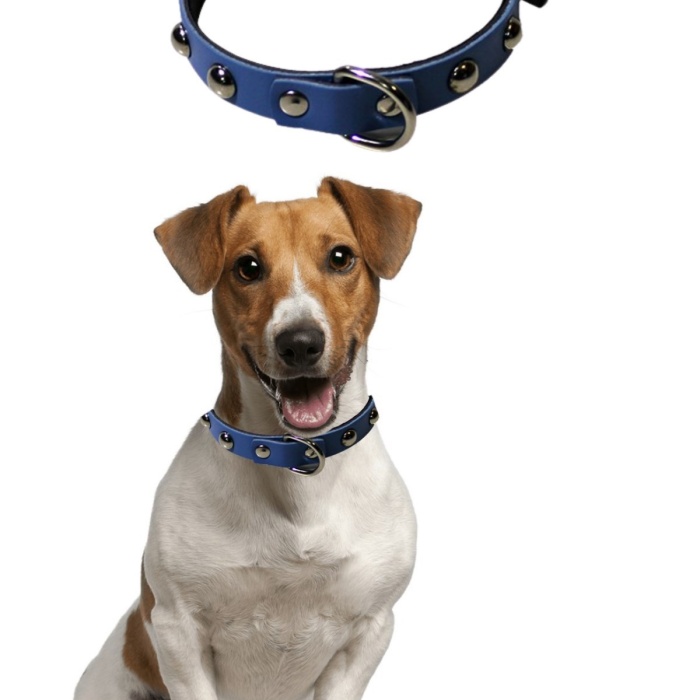 ® Yeni Ürün Yumuşak Dokulu Deri Köpek Gezdirme Boyun Tasması (Large)