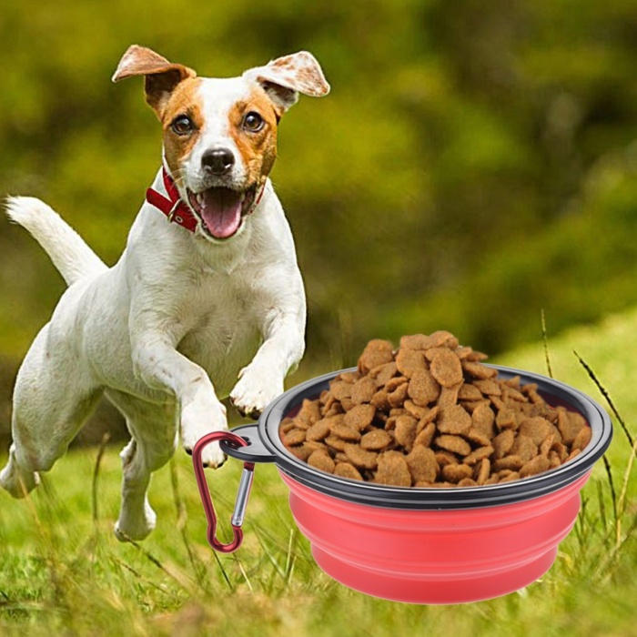 ® Yeni Ürün Katlanabilir Kedi Köpek Mama ve Su Kabı Köpek Oyuncağı