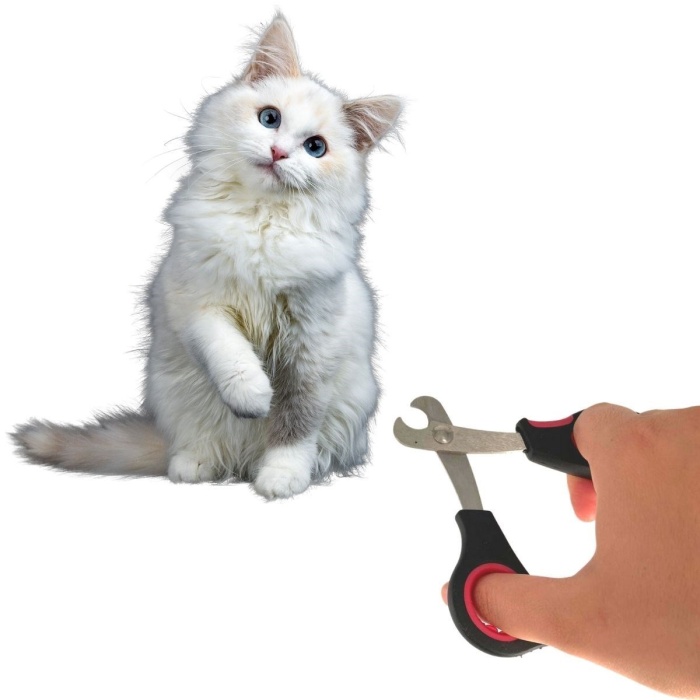 ® Yeni Ürün Büyük Irk Köpek Kedi Çelik Uçlu Evcil Hayvan Tırnak Makası Pati Bakım Aleti Ergonomik Kaymaz