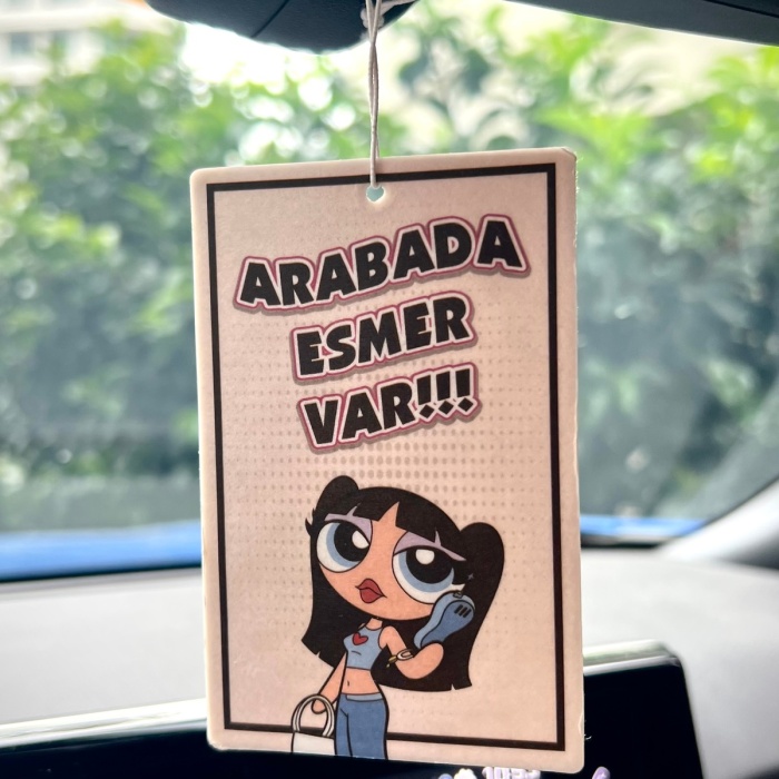 ARABADA ESMER VAR TASARIMLI OTO KOKUSU DEKORATİF ARAÇ KOKUSU VE AKSESUARI