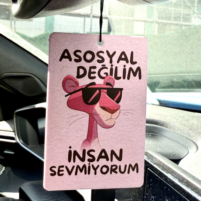 ASOSYAL DEĞİLİM İNSAN SEVMİYORUM ARAÇ KOKUSU