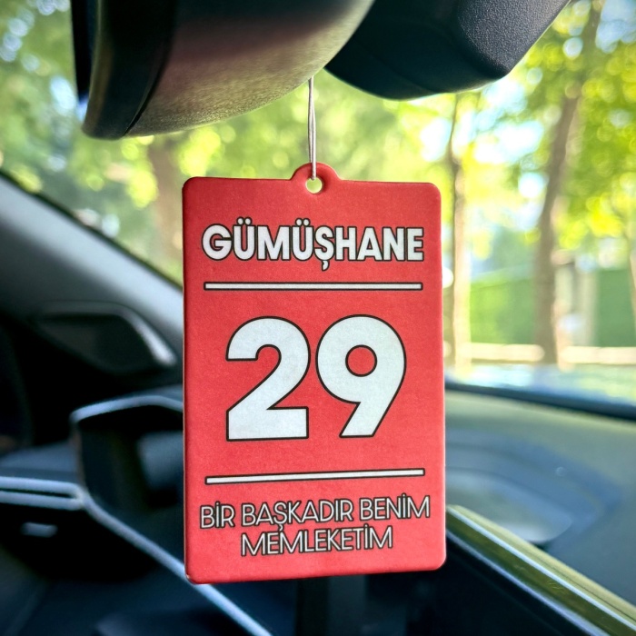 29 GÜMÜŞHANE MEMLEKET  ARAÇ KOKUSU