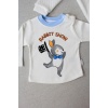 Rabbit Şhow Nakışlı Kapşonlu Ceket Uzun Kollu Sweat Erkek Bebek 3lü Takım