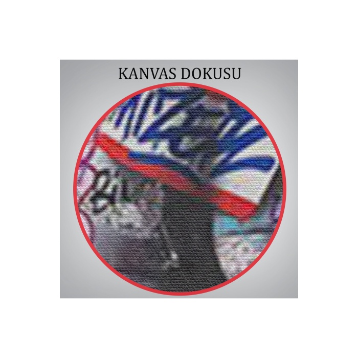Sokak Graffiti Duvar Sanatı Kanvas Tablo, Banksy Renkli Graffiti Pop Art-5337