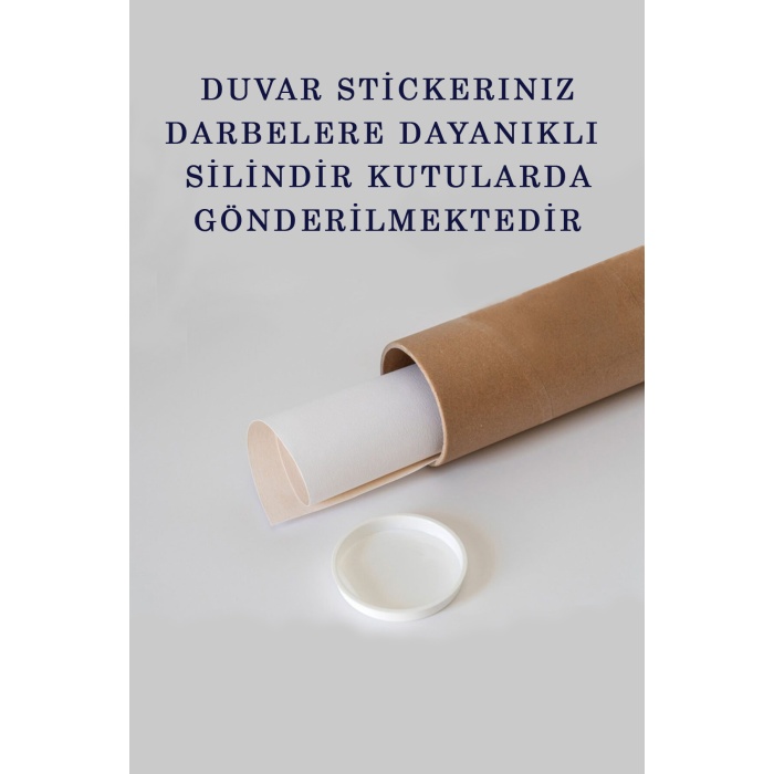 Eğitici Dünya Haritası Dünya Atlası Çocuk Ve Bebek Odası Duvar Sticker 3820