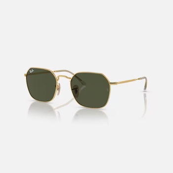 Ray-Ban  Güneş Gözlüğü RB3694 001/31