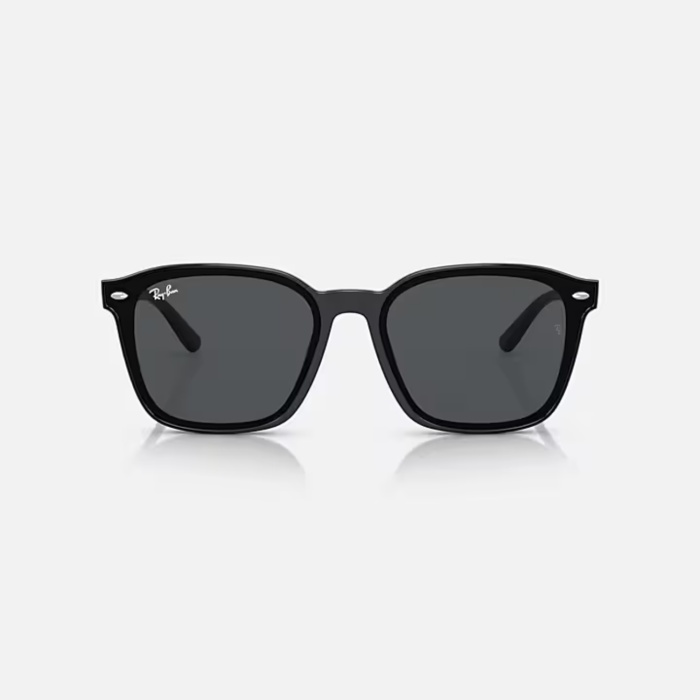 Ray-Ban  Güneş Gözlüğü RB4392D 601/87