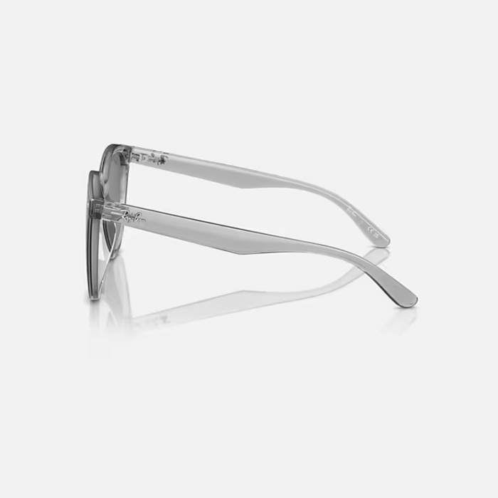 Ray-Ban  Güneş Gözlüğü RB4423D 645/087