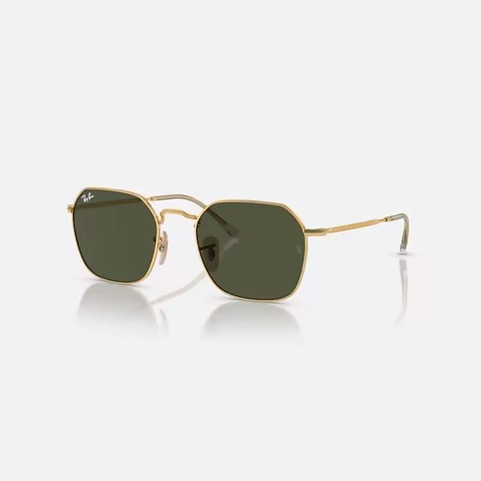 Ray-Ban  Güneş Gözlüğü RB3694 001/31