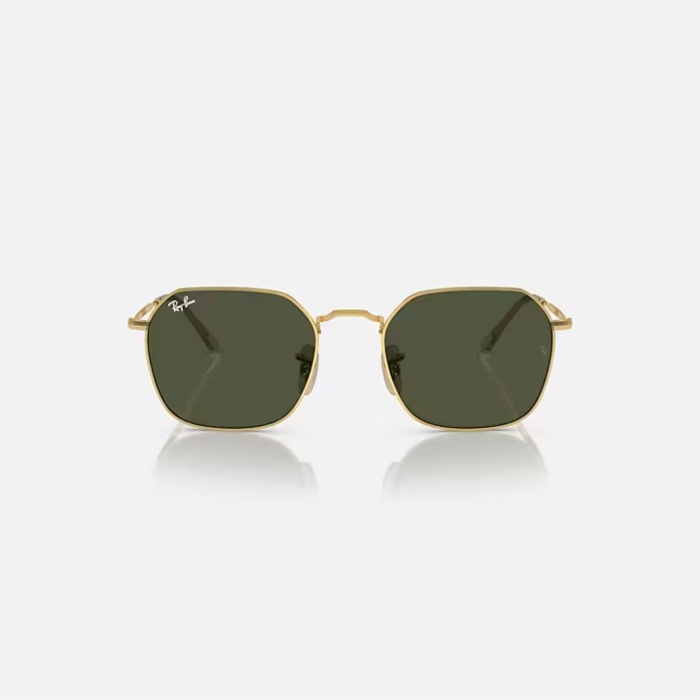 Ray-Ban  Güneş Gözlüğü RB3694 001/31