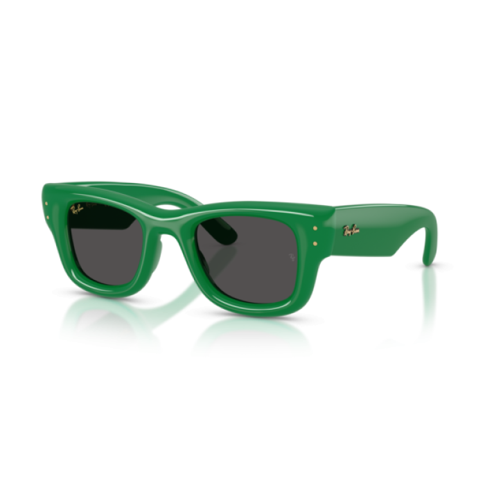 RAY-BAN RB31830 0281