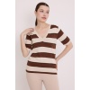 Kadın Kahve Krem Çizgili Kısa Kol Bluz 15869