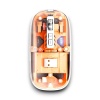 PG-9010 MOUSE FARE