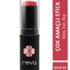 Çok Amaçlı Stick Allık, Far, Dudak Renklendirici & Lip Cheek Eye Tint-vegan & Temiz Içerikrv110