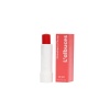 30 SPF Strawberry Plump Lip Balm 2’li Set – Dolgun Dudak & Koruma