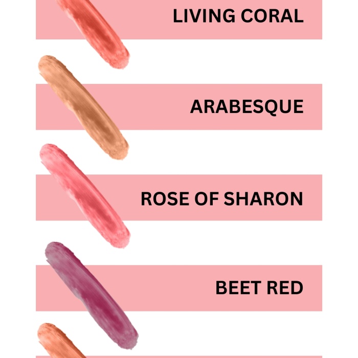 Çok Amaçlı Stick Allık, Far, Dudak Renklendirici & Lip Cheek Eye Tint-vegan & Temiz Içerikrv112