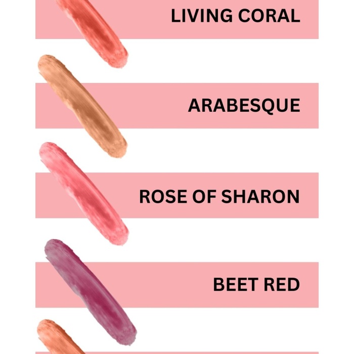 Çok Amaçlı Stick Allık, Far, Dudak Renklendirici Peach/lip Cheek Eye Tint-vegan & Temiz Içerik Rv111