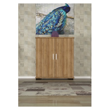 Ayakkabılık 2 Kapaklı Ayakkabı Dolabı Çok Amaçlı Dolap Mutfak Dolabı Ofis Dolabı