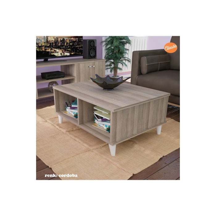 Raflı Orta Sehpa Orta Masa Ofis Sehpa Salon Sehpa