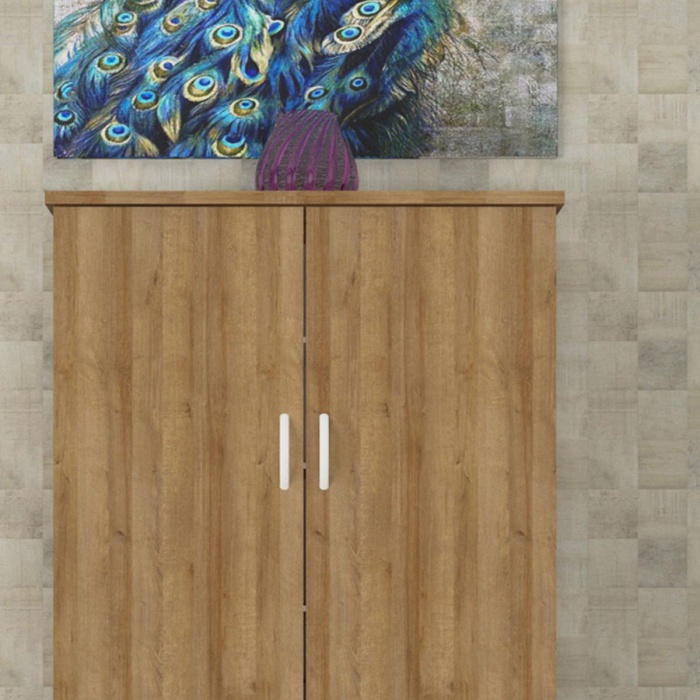 İki Kapılı Dört Raflı Ayakkabılık Dolabı